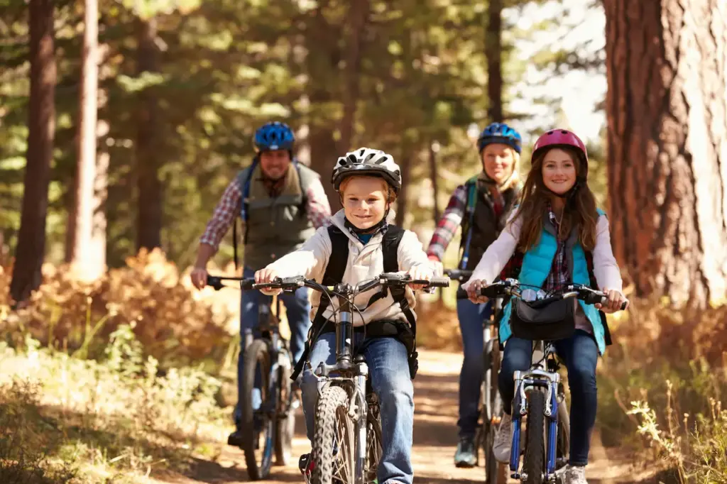 Family Biking Together In The Forest